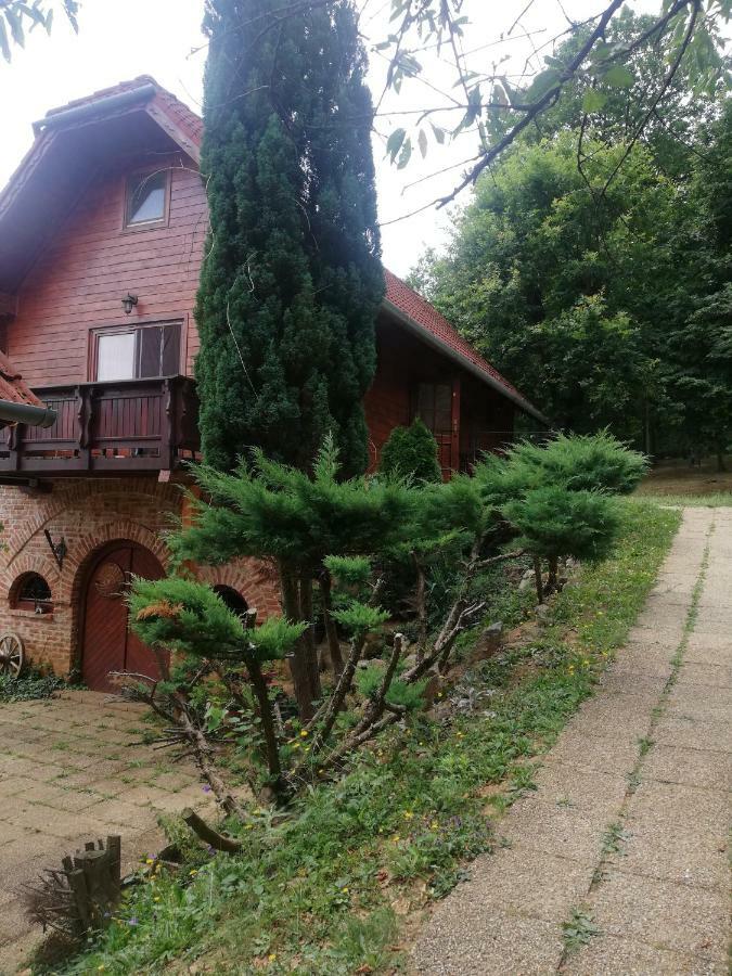 Mohas Vendeghaz Koszeg Mohas Ut 107酒店 外观 照片